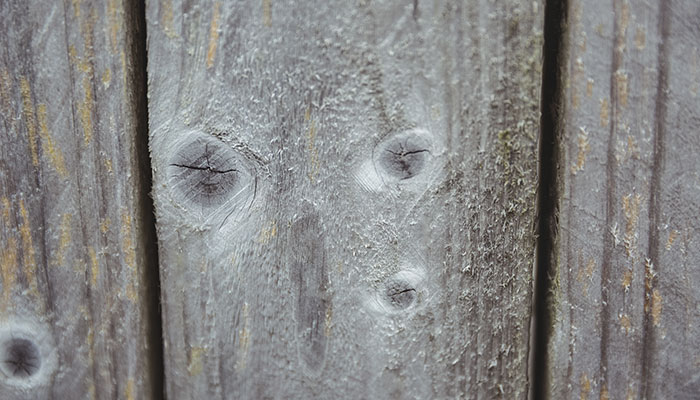 PROTECCIÓN CONTRA PLAGAS EN PUERTAS Y VENTANAS DE MADERA