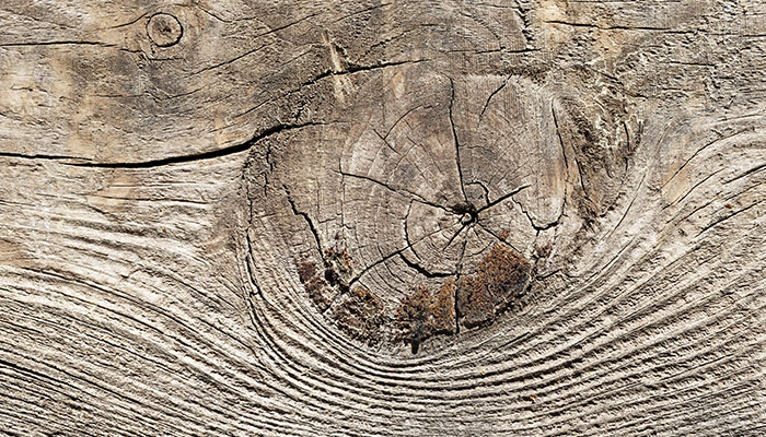 NUDOS EN LA MADERA: ¿SON UN DEFECTO?